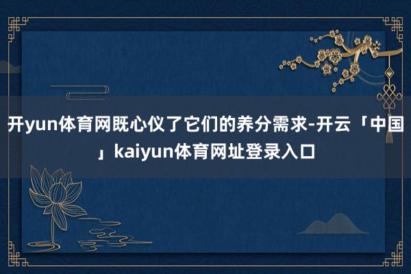 开yun体育网既心仪了它们的养分需求-开云「中国」kaiyun体育网址登录入口