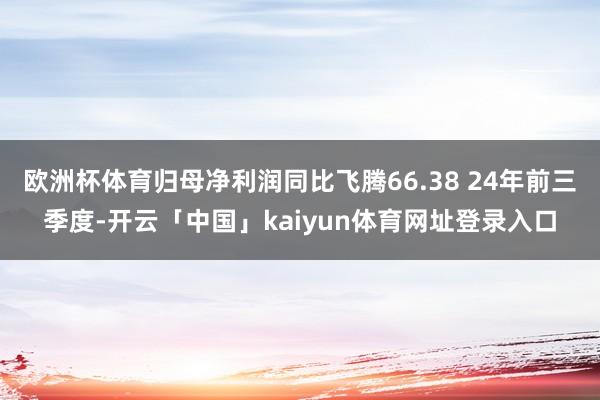 欧洲杯体育归母净利润同比飞腾66.38 24年前三季度-开云「中国」kaiyun体育网址登录入口