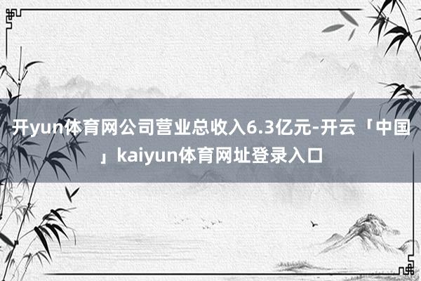 开yun体育网公司营业总收入6.3亿元-开云「中国」kaiyun体育网址登录入口