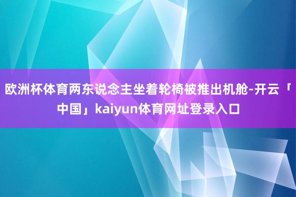 欧洲杯体育两东说念主坐着轮椅被推出机舱-开云「中国」kaiyun体育网址登录入口