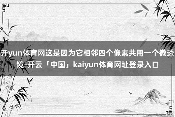 开yun体育网这是因为它相邻四个像素共用一个微透镜-开云「中国」kaiyun体育网址登录入口